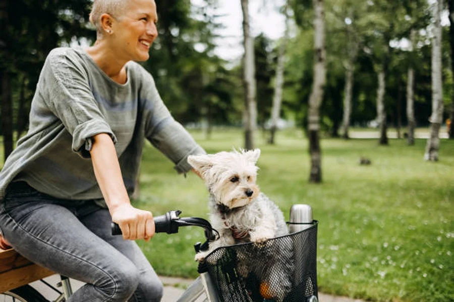 Femme faisant du vélo avec un petit chien à l'intérieur d'un panier à vélo