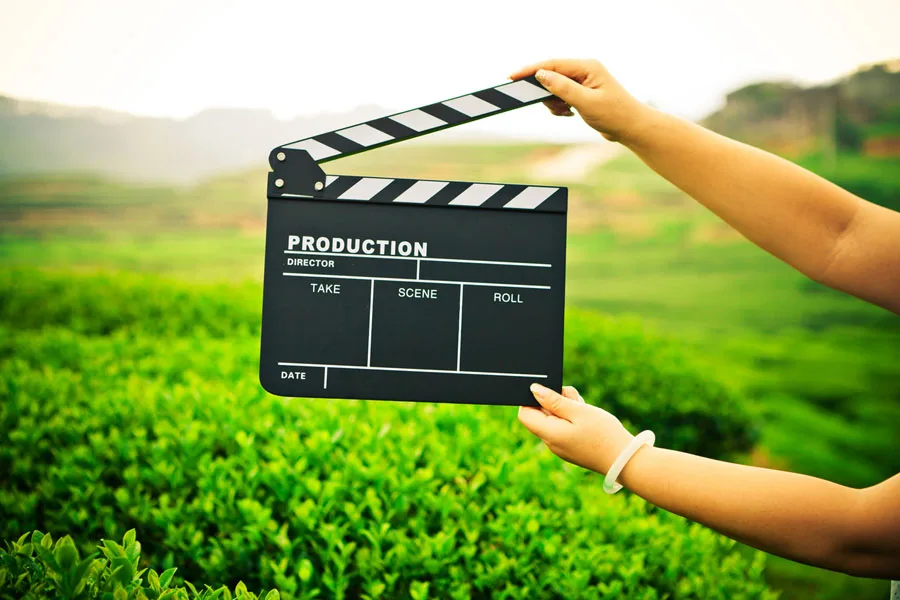 Woman holding a clapper board in a field