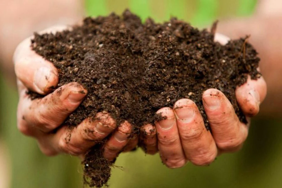 a hand carrying compost soil for planting