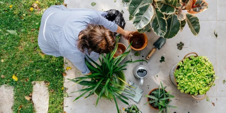 a woman planting her garden