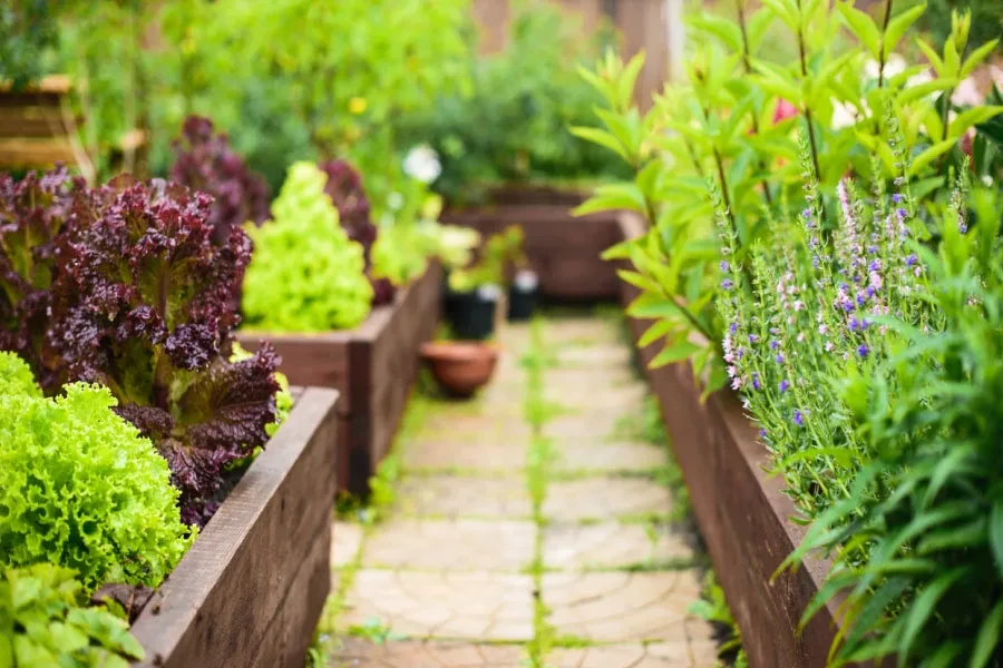 an ediable garden