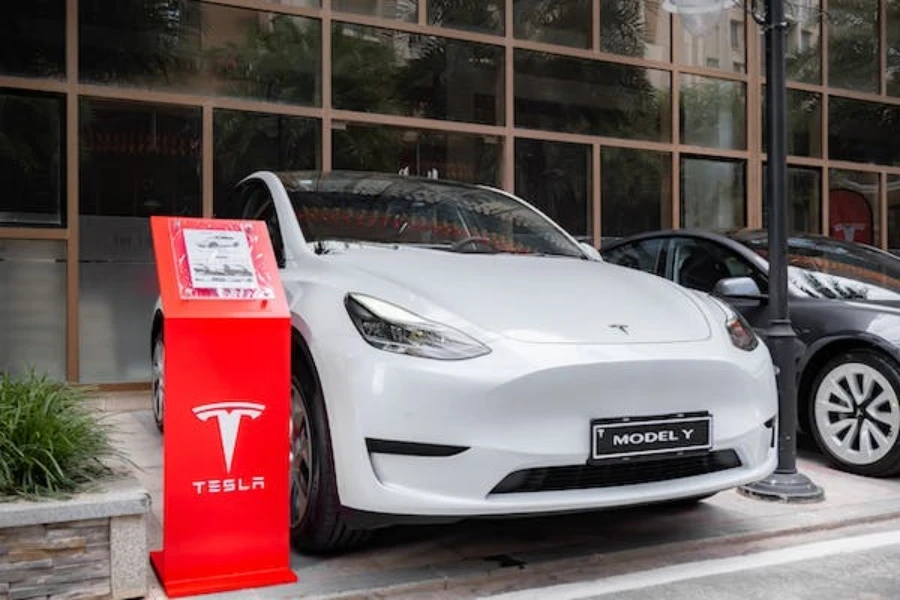 brand identity, Tesla logo display