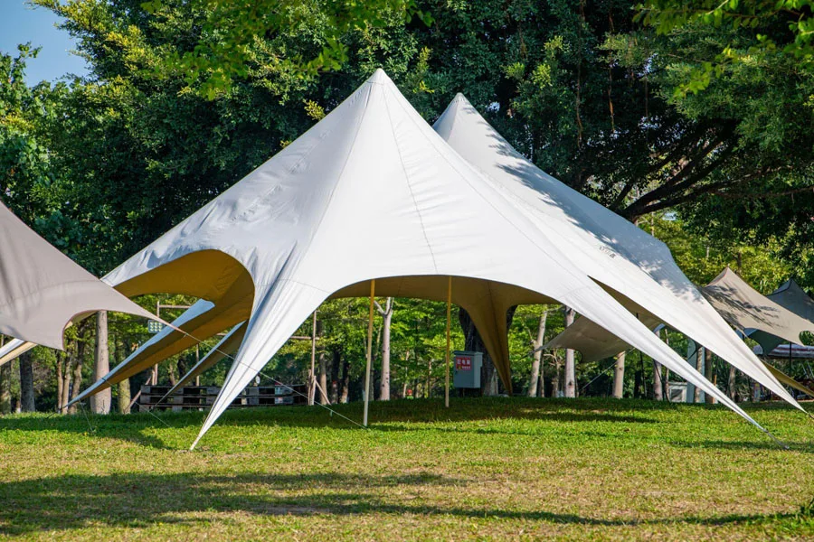 canopy style tent