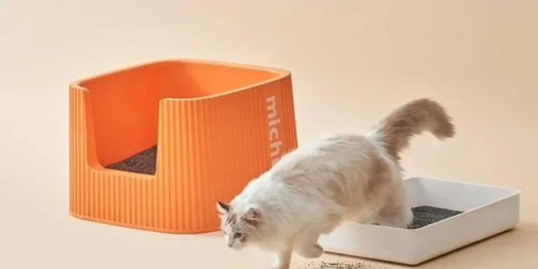 cat litter box