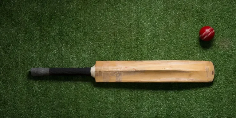 cricket ball and bat