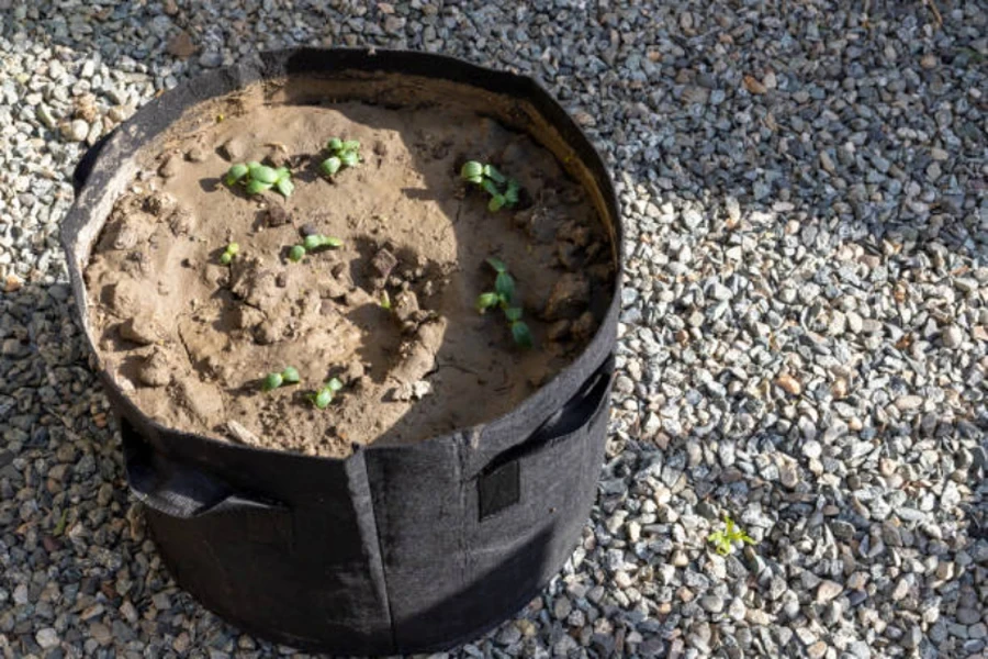 bolsa de cultivo