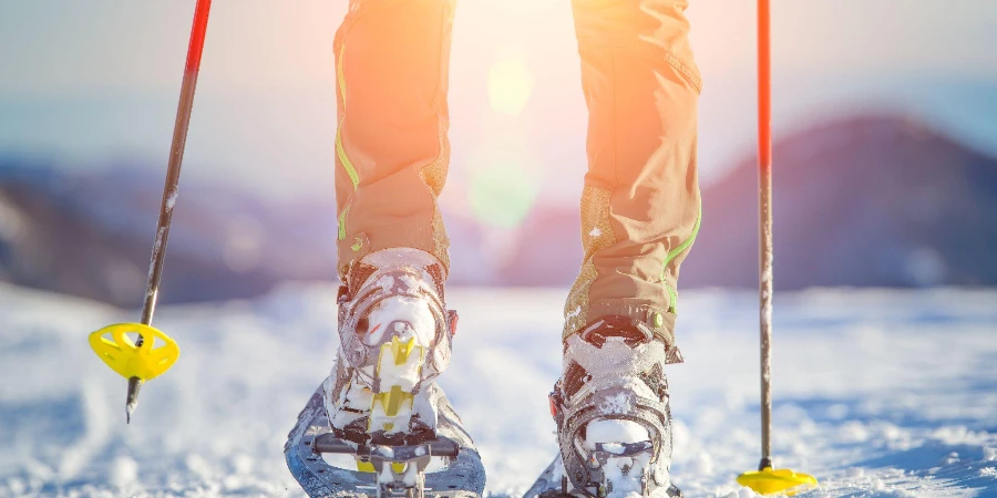 dağlarda teknik kar ayakkabılarıyla yürümek