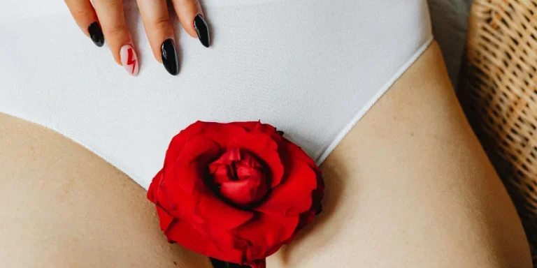 Red Rose on White Panties