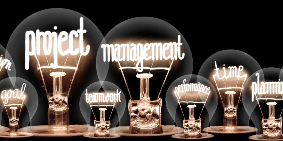 Large group of shining light bulbs with fibers in a shape of Project Management