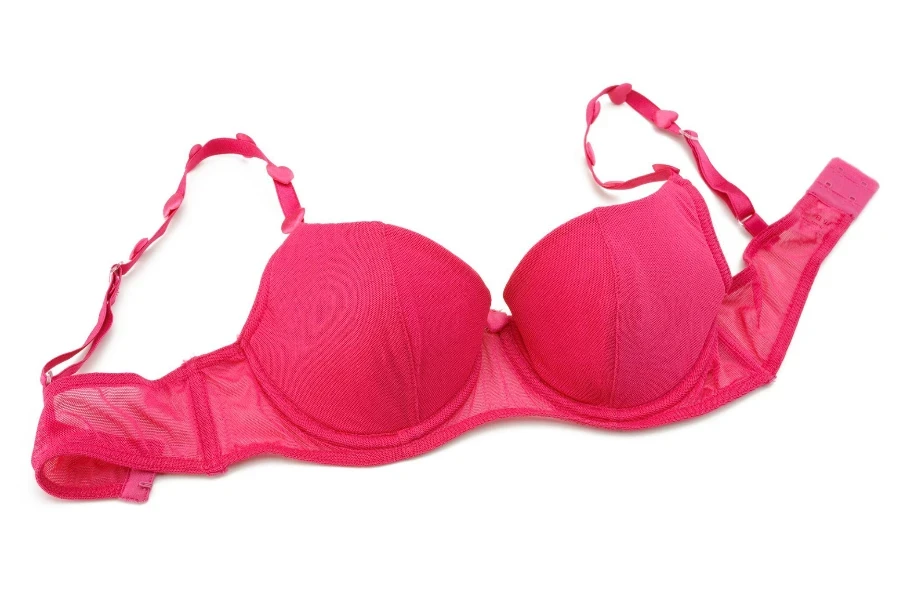 Pink bra isolated on white background