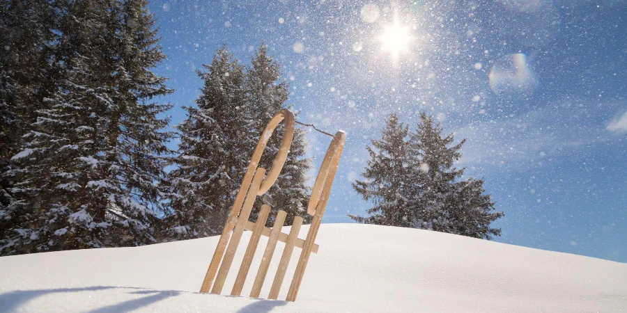 traîneau traditionnel dans la neige