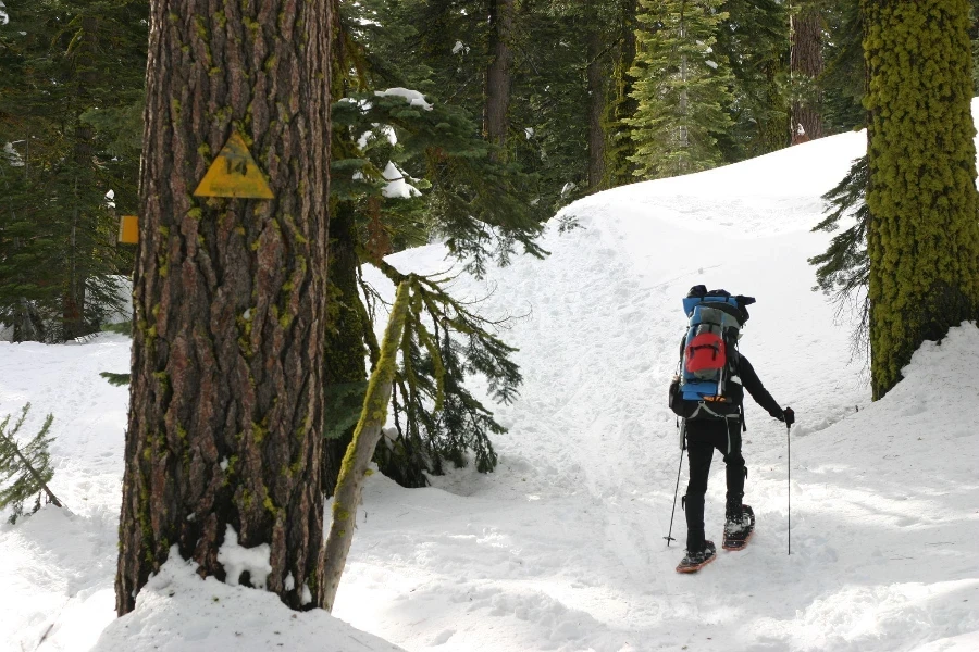 Dewey Point Trail