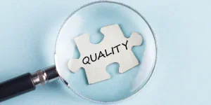 The word Quality on puzzle piece with magnifying glass.