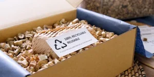 Net zero waste go green SME use eco friendly care sign plastic free symbol packaging carton box wrap paper in small shop retail store.