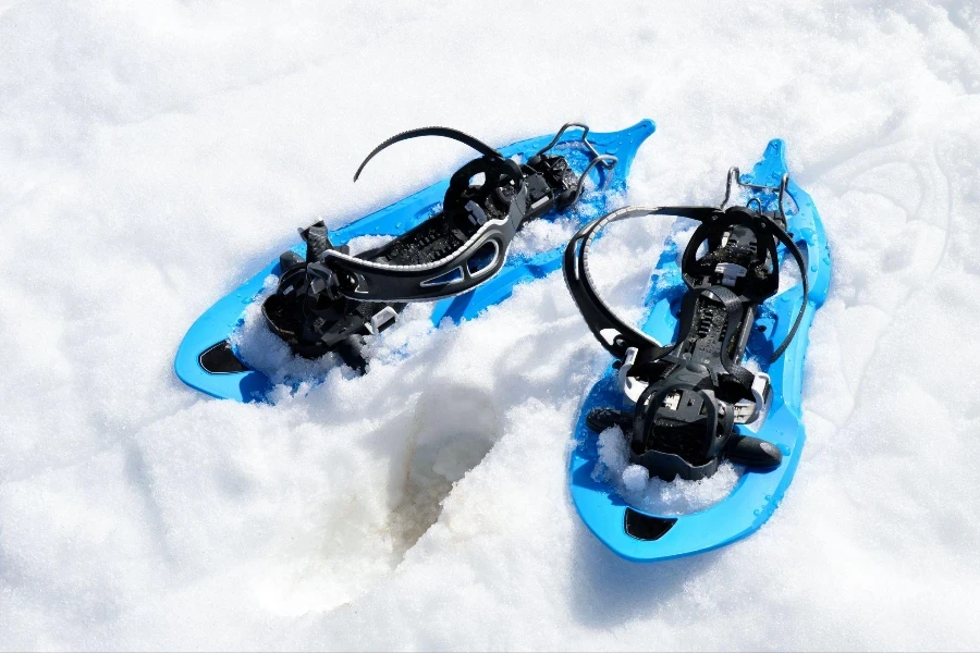 Snowshoes for walking on the snow