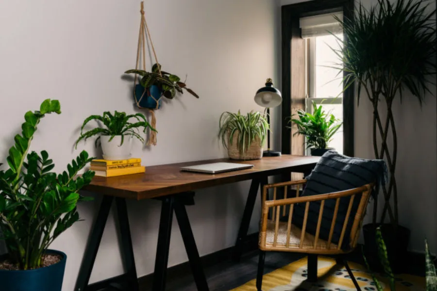 ruang kantor dengan beberapa tanaman dengan pencahayaan redup untuk lingkungan kerja yang lebih baik