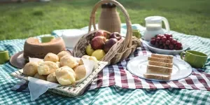 picnic on the blanket