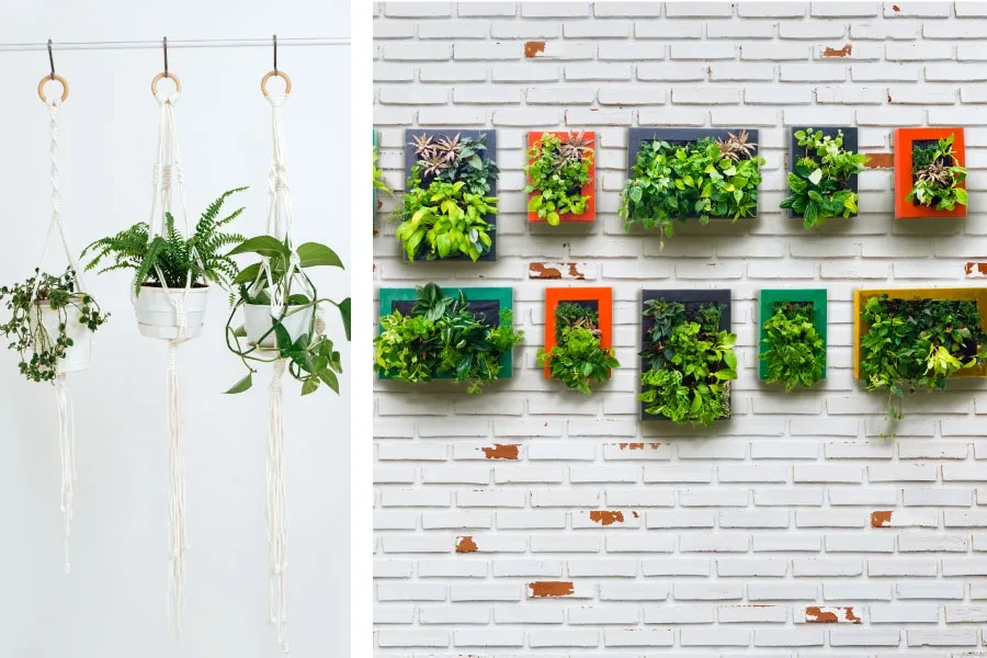 planter hanger and modular planter wall