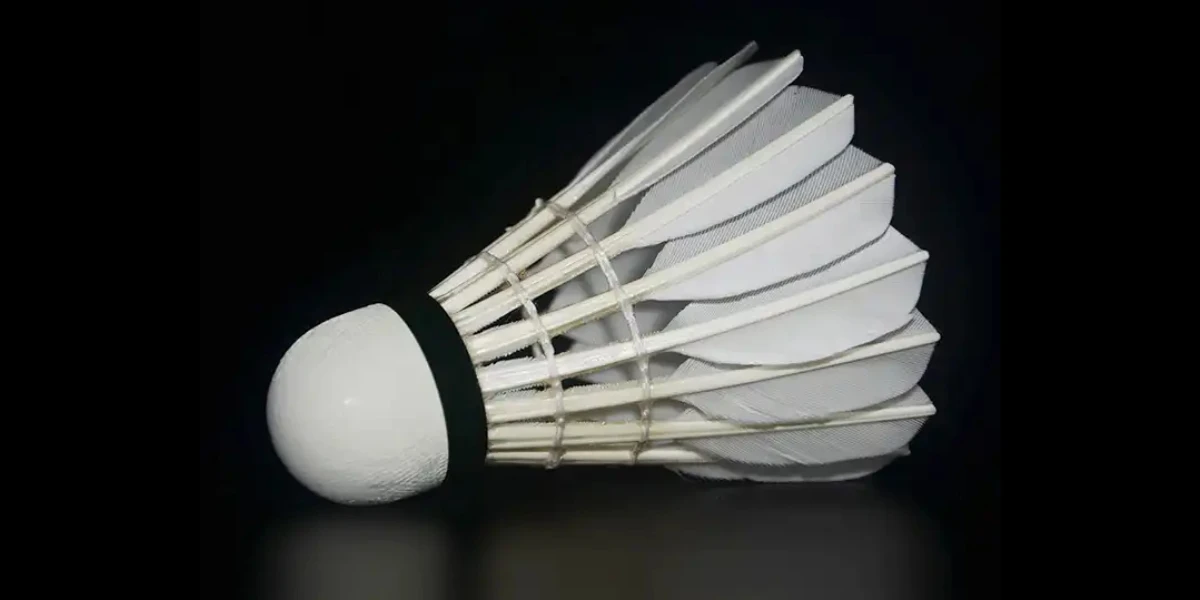 Ultimate Guide to Badminton Shuttlecocks: Key Factors for 2024 ...