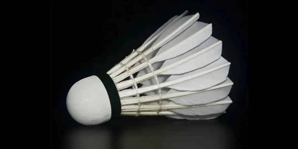 Professional BWF-approved badminton shuttlecock