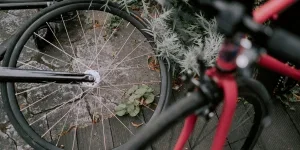 Spokes of a wheel