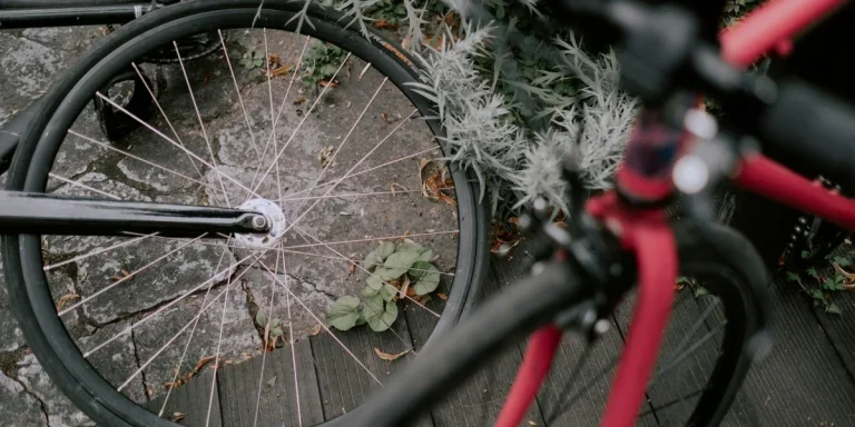 Spokes of a wheel