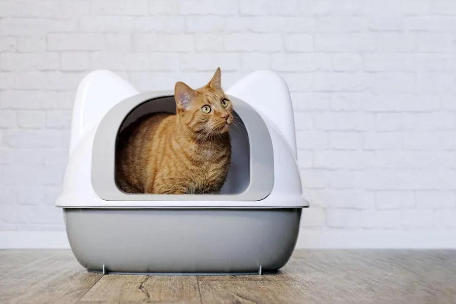 the cat litter boxes and accessories