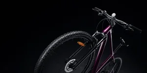 the full view of the bicycle fork