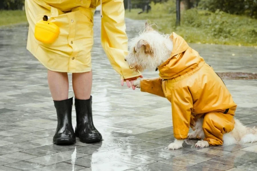 the raincoat