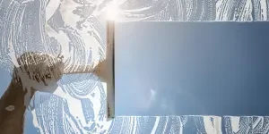 the squeegee