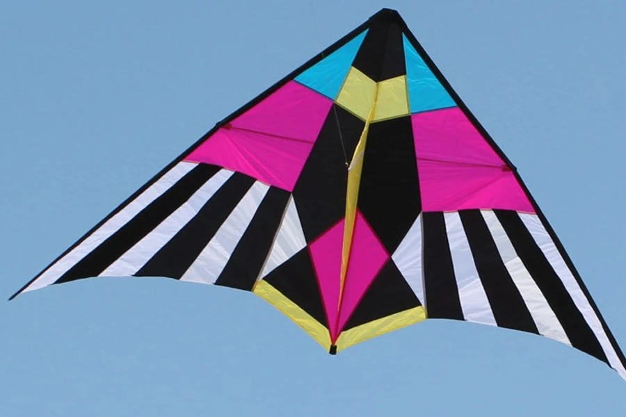 A beautiful looking Delta Nylon kite