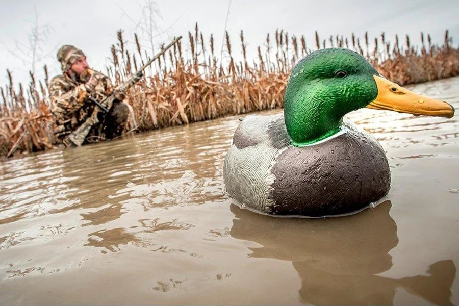 A floating duck decoy with a hunter nearby