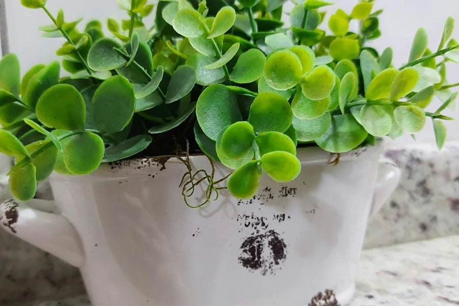 An Artificial Plant Ina White Planter Kept on a Marble Surface