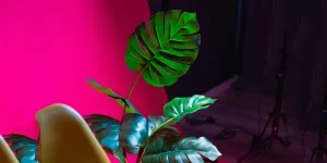 An Artificital Plant