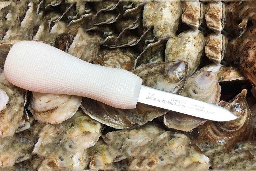 An oyster knife on some shells