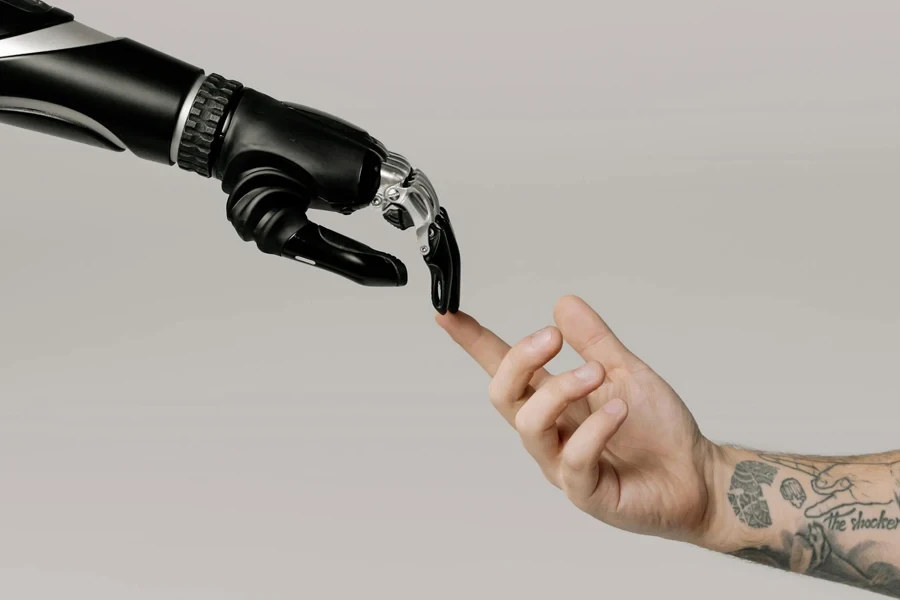 Bionic Hand and Human Hand Finger Pointing