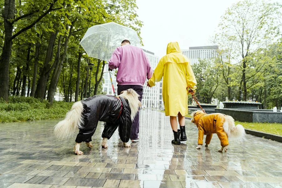 Couple Walking Dog in Rain