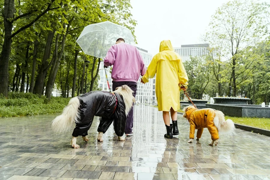 Couple Walking Dog in Rain