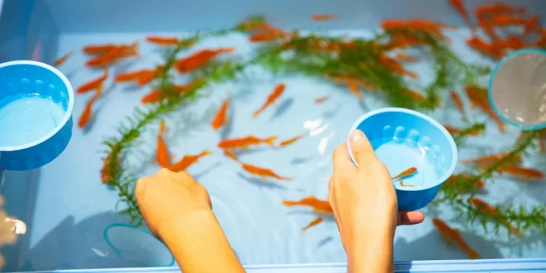 High angle faceless friends catching small orange aquarium fish from plastic basin to put in clean fishbowl