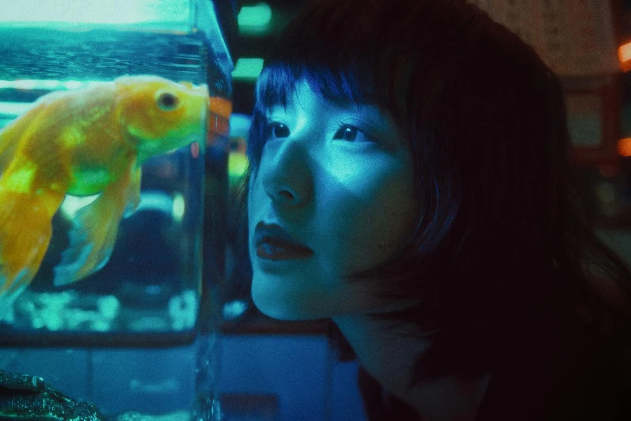 Side view of curious Asian female looking at goldfish swimming in aquarium in dark room