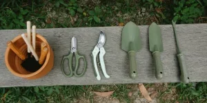 Top view of row of scissors secateurs shovels and tools for loosening soil near pot with instruments on wooden bench in garden