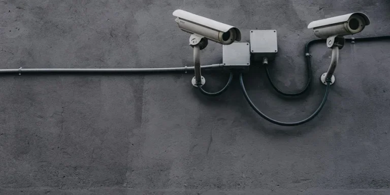 Two Gray Bullet Security Cameras