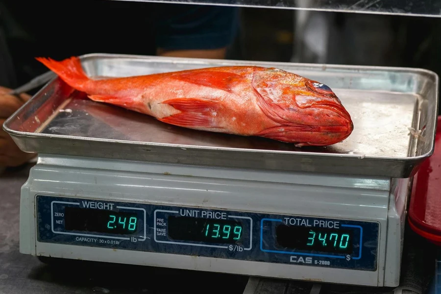 Weighing scale with a red snapper fish