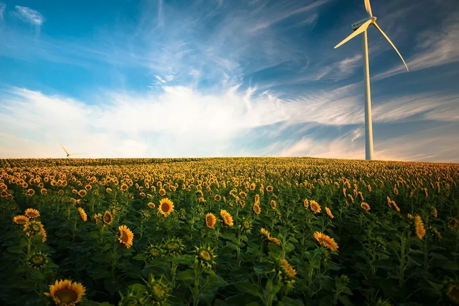 Wind turbine installed in a sunflower field