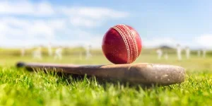 a cricket ball