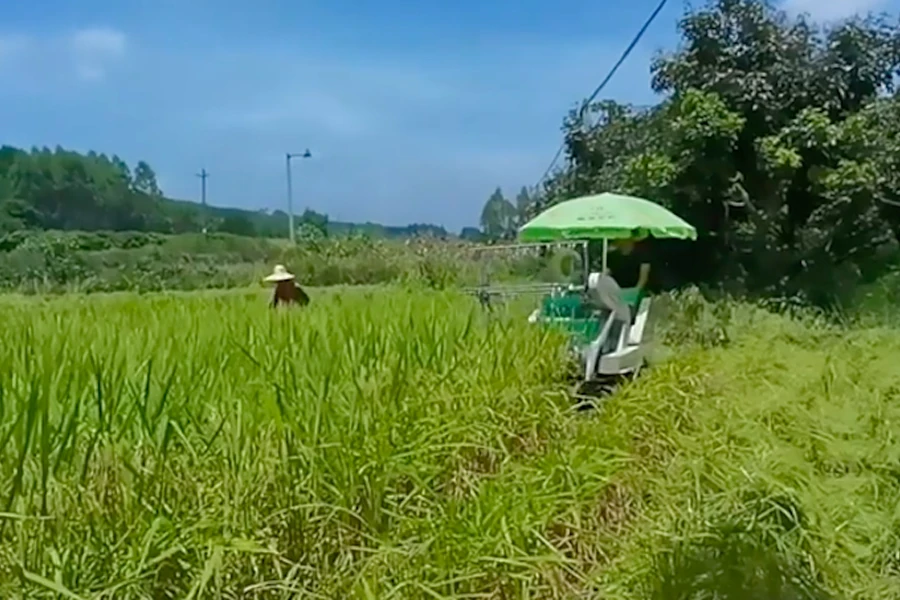 a small rice harvester and manual worker together