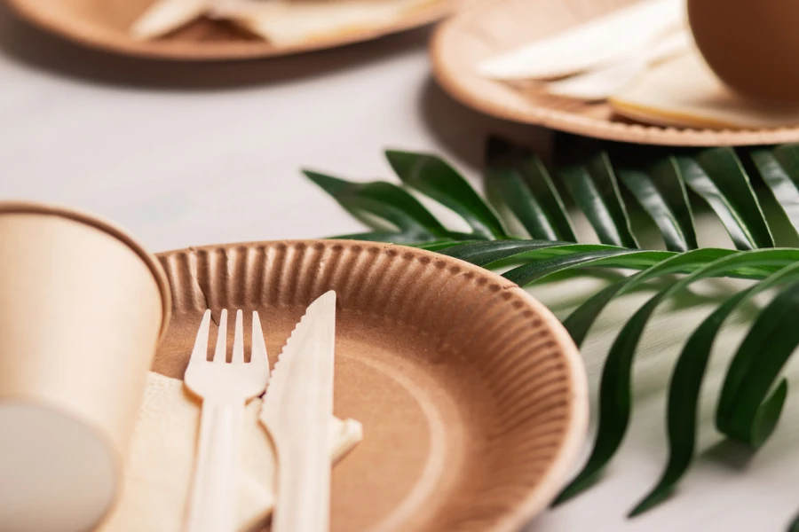 eco-friendly party tableware