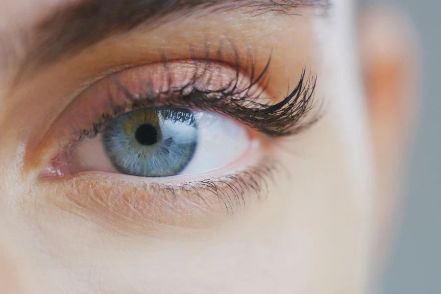 Macro close up of beautiful female blue eye with perfect natural makeup looking in camera
