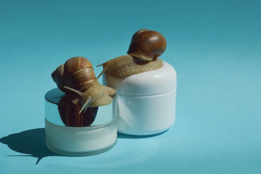 Close up, of a snail, streaking towards a jar of skin cream
