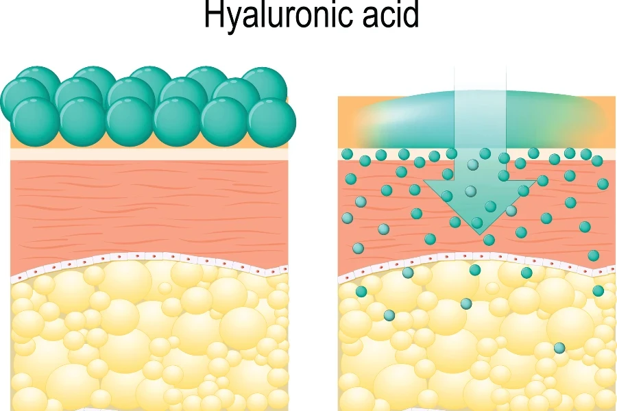 Hyaluronic acid
